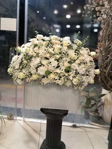 گل آریسا 2