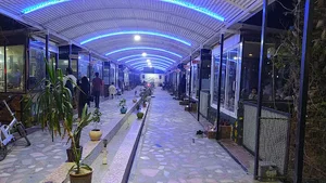 تالار صدف