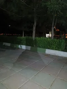 بوستان آزادگان 4