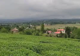 تالش محله وبسایت رسمی روستای توریستی چماچا