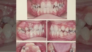 دندانپزشکی دکتر رجبی و دکتر اشجعی 2