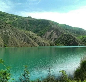 (استخر تازه آباد جنگاه(مرغابی سل