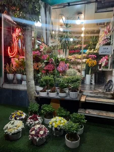 گلفروشی ولنجک 5