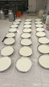 شیر سرای لیقوانی اصل