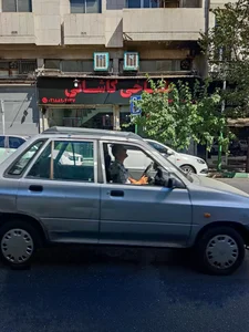 طباخی کاشانی 2