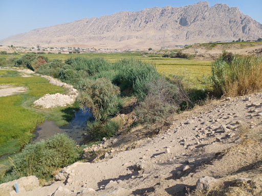 روستای سنگ سفید)( کلشاخ)