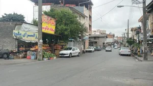 ارزانسرای میوه 4
