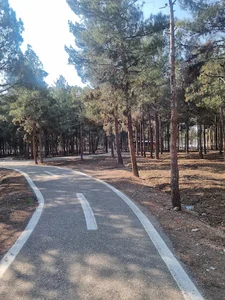 پیست دوچرخه سواری