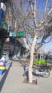 مسجد مهدیه
