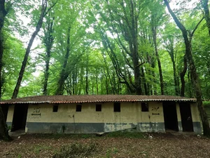 پارک جنگلی و چشمه سرخ اُ