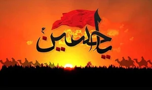 هوناز دیزاین 5