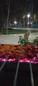 بوستان کتاب 4