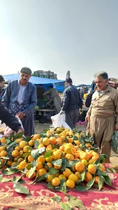 پنج شنبه بازار