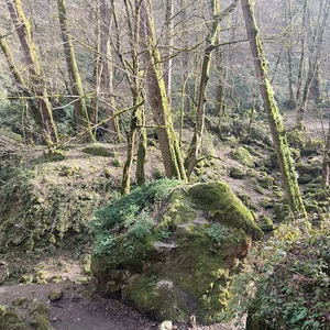 First Waterfall of Qaleh Rudkhan