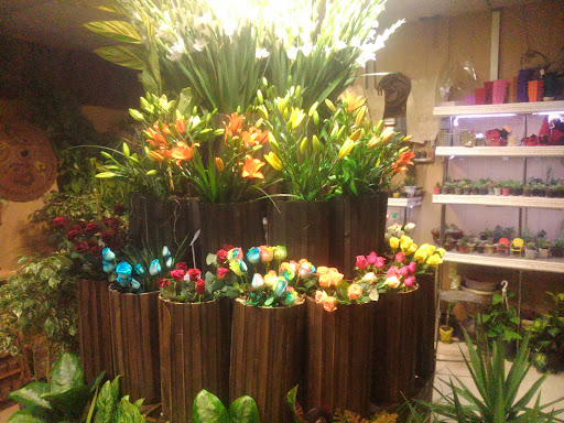 گلسرای گل یخ