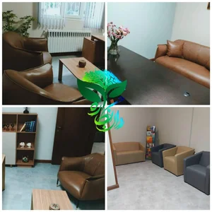 روانشناسی دکتر امیرحسین نصیریان 3