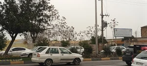اداره راهداری و حمل و نقل جاده ای شهرستان گرگان