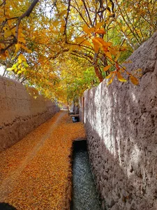 باغشهرتفت
