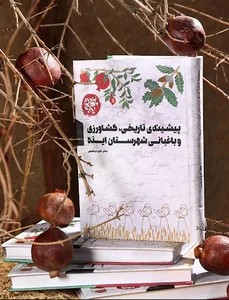 Molavy Book Store
