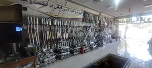 اگزوز آریا