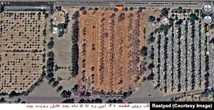 مزار شادروان عباس عیدی شیخ رباط قطعه ۴۱
