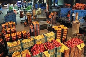پخش میوه و تره‌بار برادران زین‌العابدین