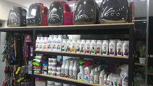 کلینیک دامپزشکی چیتا