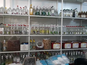 گیاهان دارویی آفرینش 5