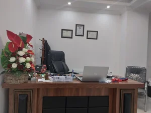 دکتر علی زلفی