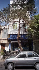 پارس یدک 2