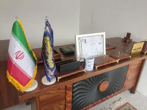 قالیشویی رادین 2