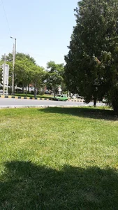 میدان امام حسین (ع)