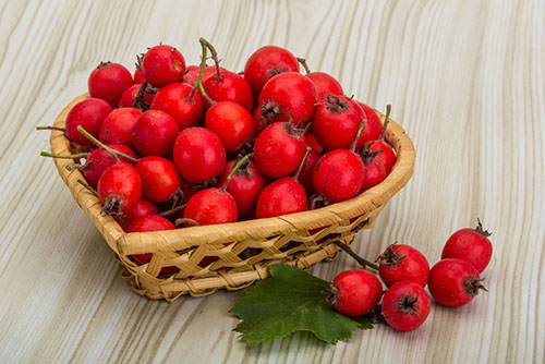 فروشگاه کهن ارگانیک