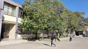 هنرستان سینا