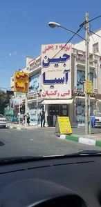 جین آسیامرکزی ( اندیشه )