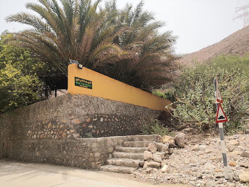 منتجع مزرعة وادي طيوي