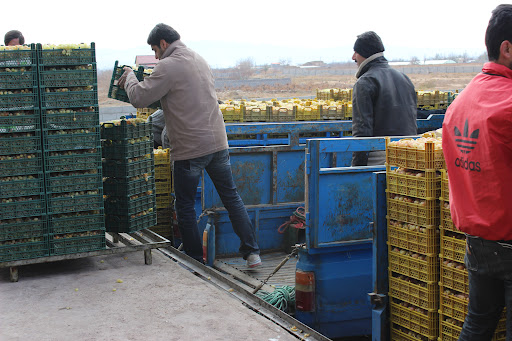 سردخانه موسوی شاهرود