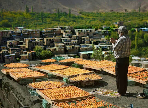خـشـکـبـار مـخـتـار