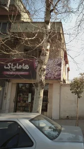 خشکبار و قهوه هامایاک 3
