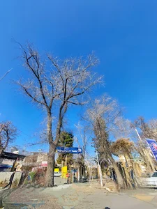 شهرداری منطقه دو بروجرد