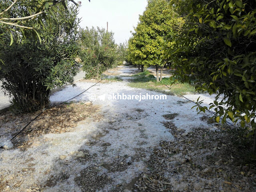 پارک بزرگ جهرم