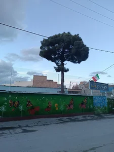 دبستان دخترانه ملاصدرا (2)