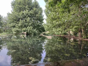 استخر سرهنگ