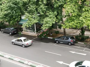 گلفروشی گلکده نیاوران