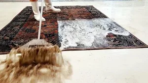 قالیشویی بیتا 2