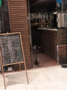 قهوه بوبو bubu coffee 2
