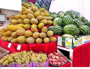 (میوه سرای سید( برادران حصاری