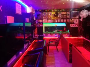 گیم نت جوانان