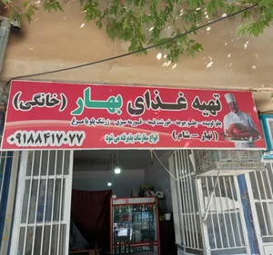 بیرون بر خانگی بهار 3