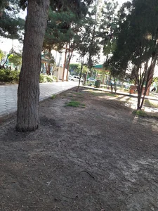 بوستان گلبرگ